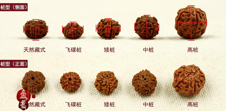 金刚菩提造假 (金刚菩提都用什么造假)