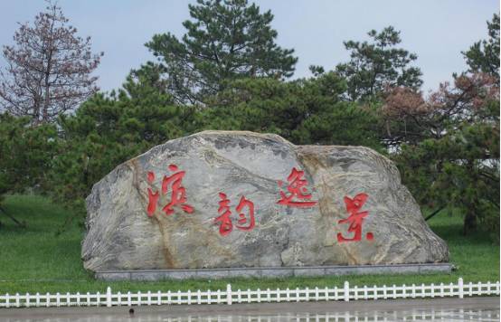 看樱花何必去远方,天津水上公园神户园樱花