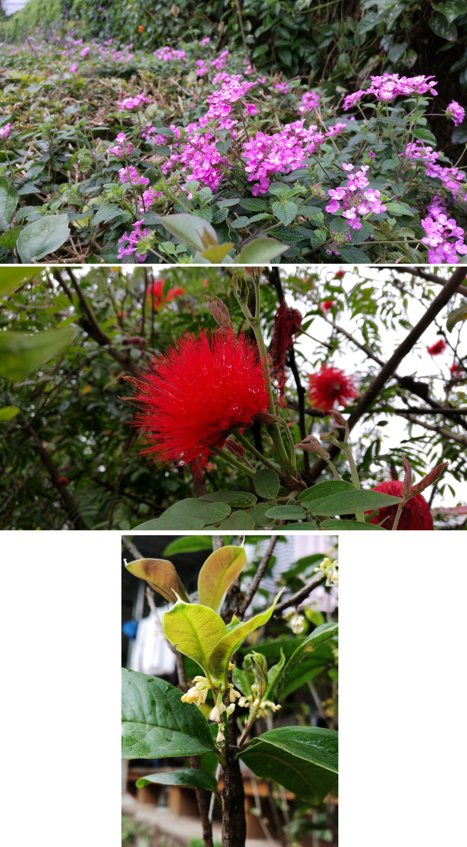 菲·独行侠·福州出发剑走偏锋厦门你可能没去过的美景