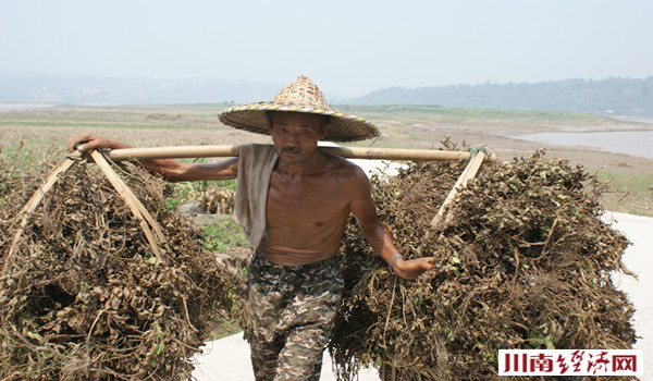 波翻浪涌,长江第一坝旅行