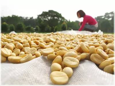 橙汁cp组合,橙汁cp是谁