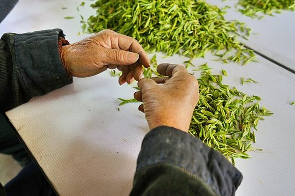 太湖舒畅之旅：乐享田园生活