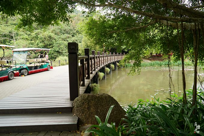 呀诺达，拾起我童年记忆的热带雨林