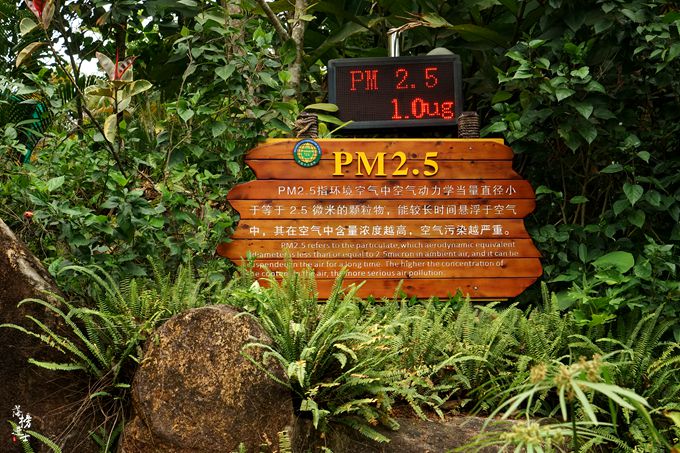 呀诺达，拾起我童年记忆的热带雨林