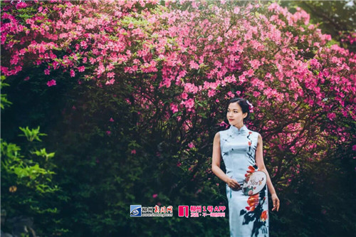 鏌冲窞鍗佸ぇ濂崇鎺掑悕,鏌冲窞鍗佸ぇ濂崇