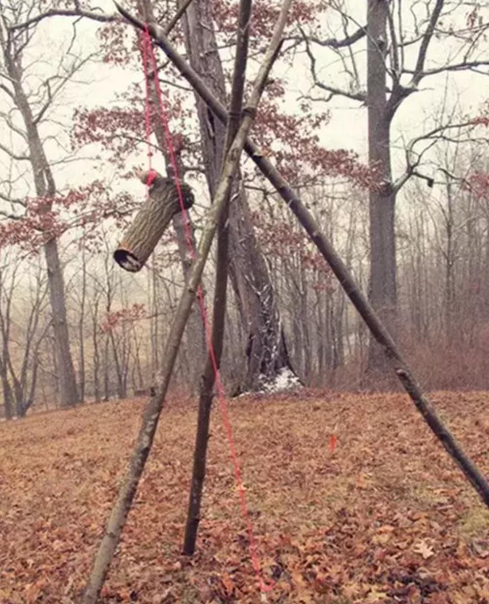 野外生存diy教你制作捕捉陷阱,野外求生陷阱简单大全