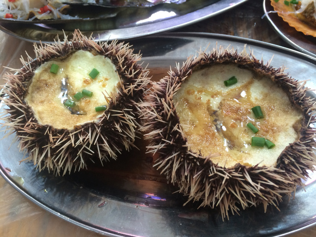 三亚结婚十周年蜜月,三亚旅游纪念日