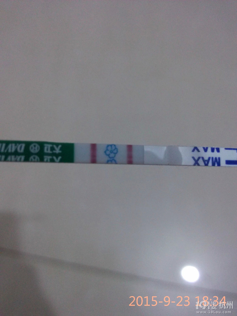 如愿生了个女宝,如愿备孕成功的记录