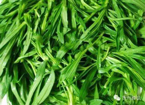 清明来上坟采野菜,清明祭祖去地里拿啥