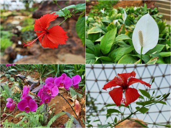 太湖舒畅之旅：乐享田园生活