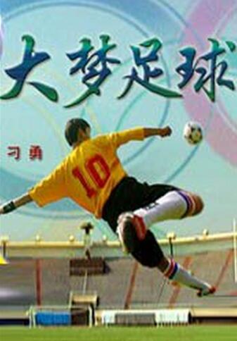 一部讲中国足球历史的电视剧,中国足球纪录片央视
