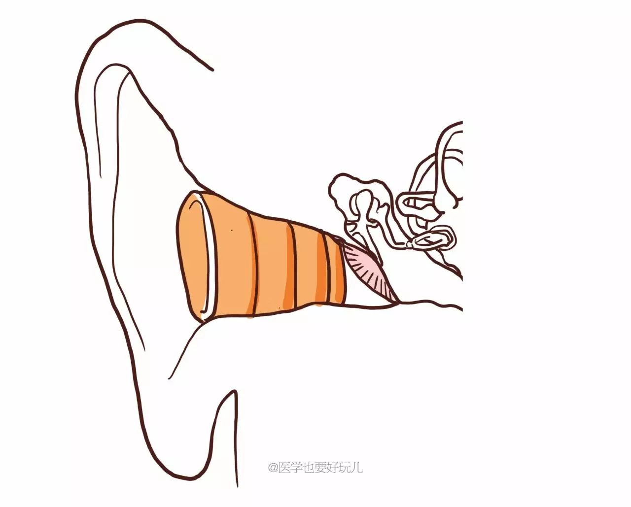 医学漫画科普｜国庆中秋出行坐飞机时，耳朵为什么会难受？