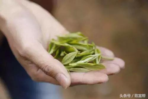 只要销售做得好就能创业,如何做茶叶生意的营销