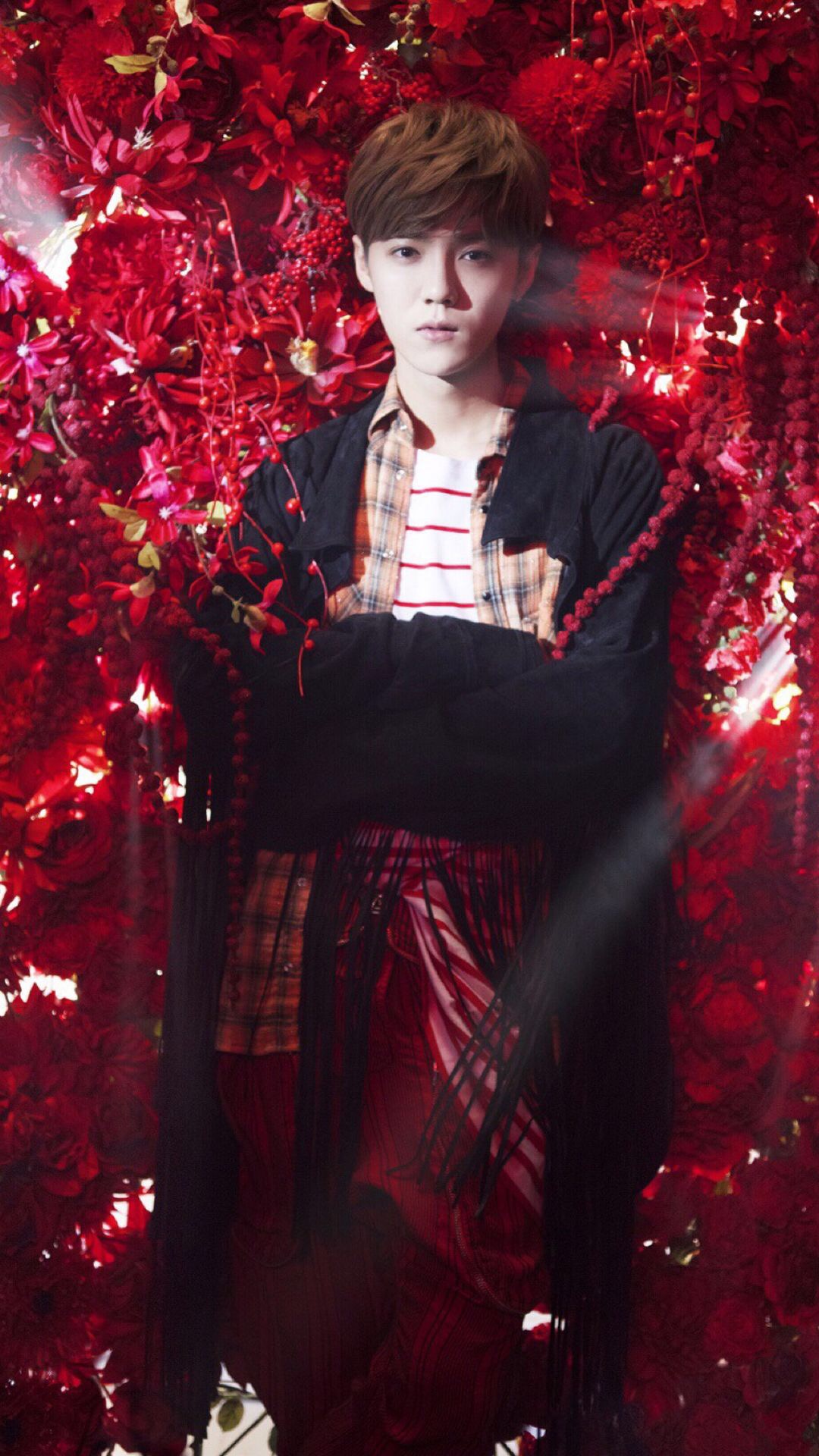 鹿晗高清手机壁纸大图,鹿晗高清壁纸2017卡通