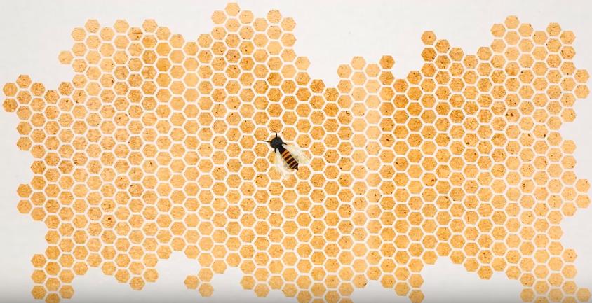 拿笔在纸上乱画是什么心理,小学生在课本上画的涂鸦