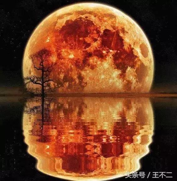 脑洞很大的想法有哪些,脑洞有多大1-10关