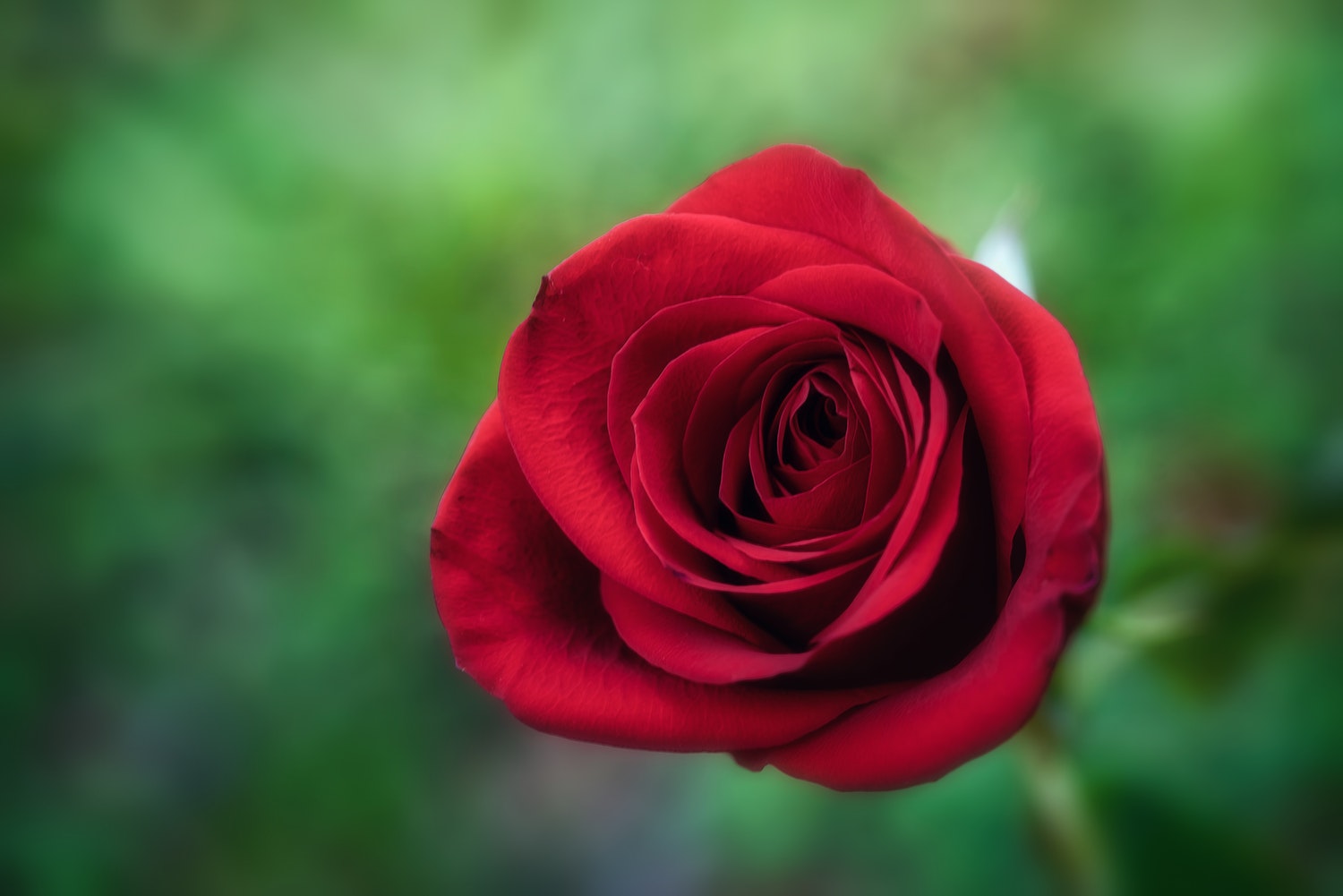 这一生只爱你女声完整版,这一生只爱你电视剧