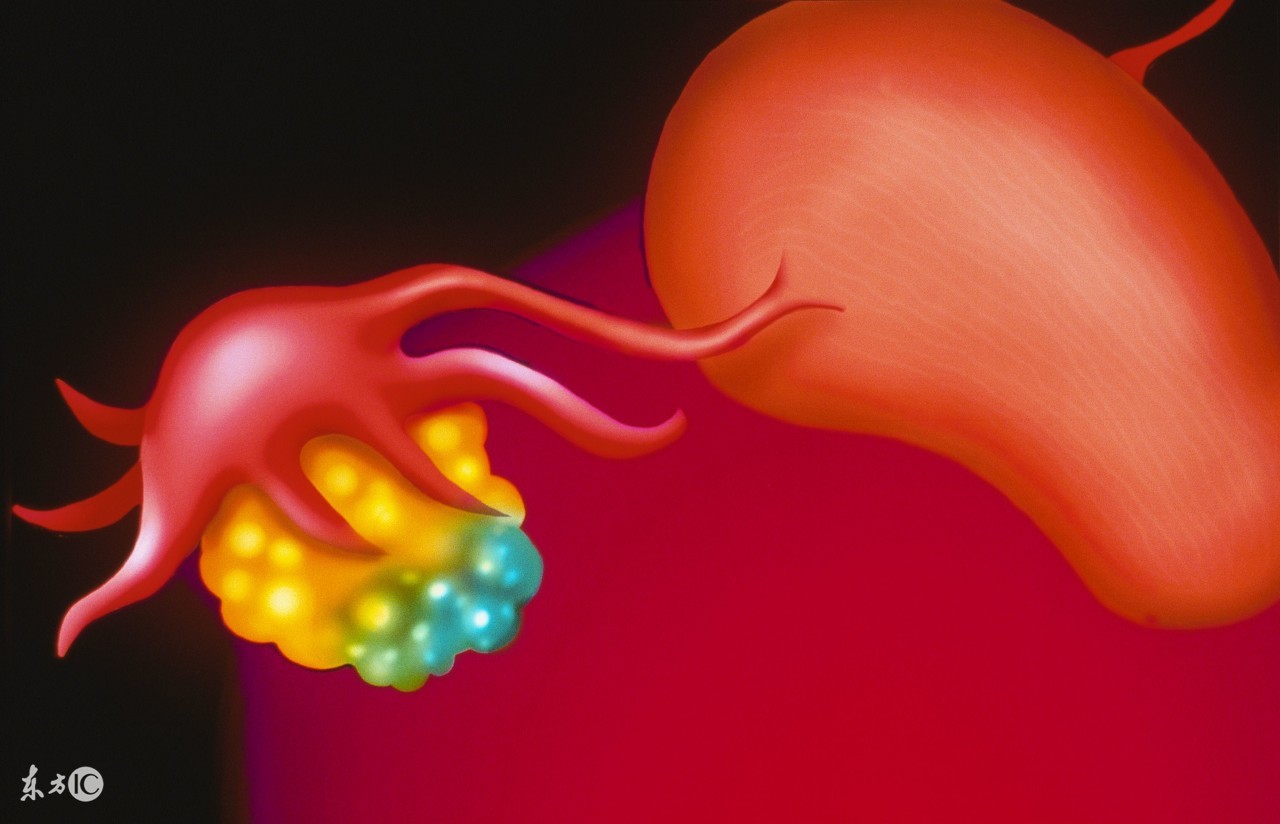 女友患过子宫癌能娶吗,得了妇科病要和男朋友分手吗