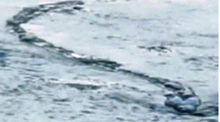 泰坦巨蟒vs海洋巨蟒,海洋巨蟒跟鲸鱼搏斗