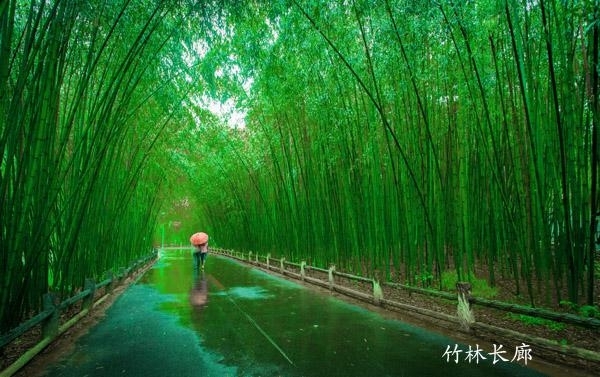 栾川民间传说真实故事,栾川名胜古迹有哪些