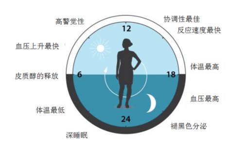 诺贝尔医学奖颁给生物钟新发现，我国古人两千年前就用其治病了