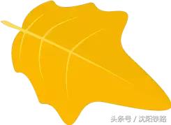 阜新南站列车最新消息,最新阜新南站普快列车表