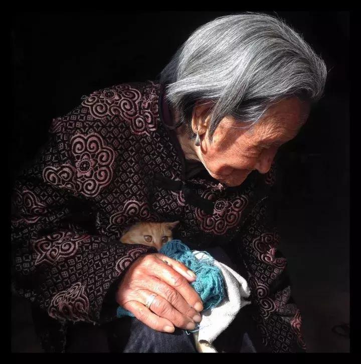 摄友摄影师作品,摄友照片点评