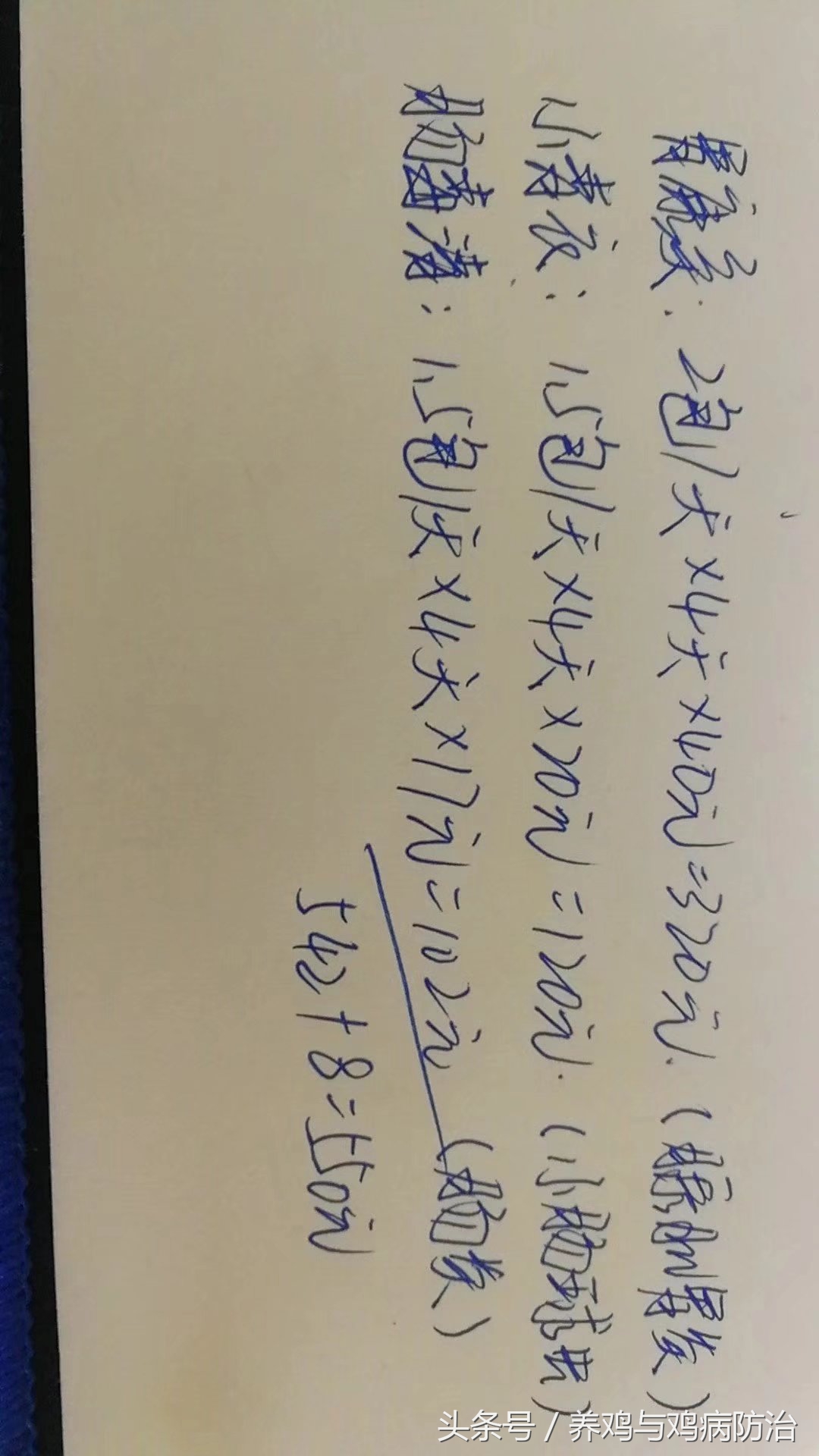 鸡腺肌胃炎与球虫病吃什么药,雏鸡得了腺肌胃炎和球虫该怎么治