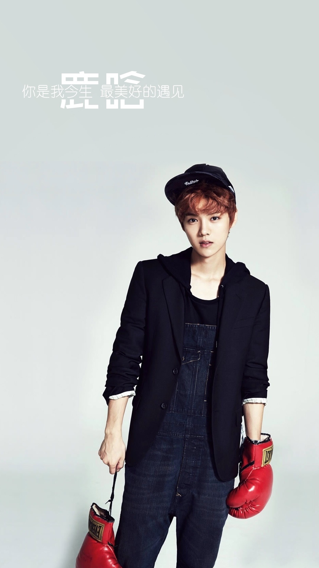 鹿晗高清手机壁纸大图,鹿晗高清壁纸2017卡通