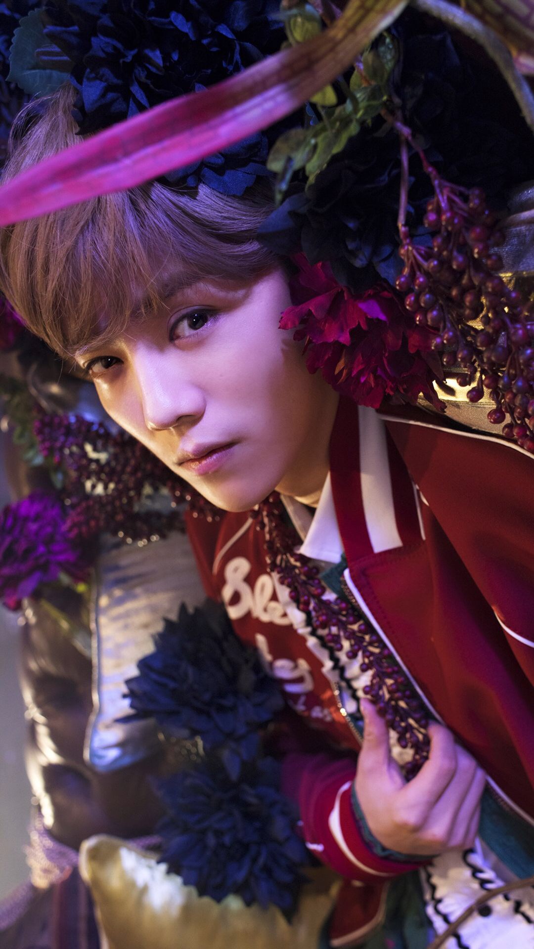 鹿晗高清手机壁纸大图,鹿晗高清壁纸2017卡通