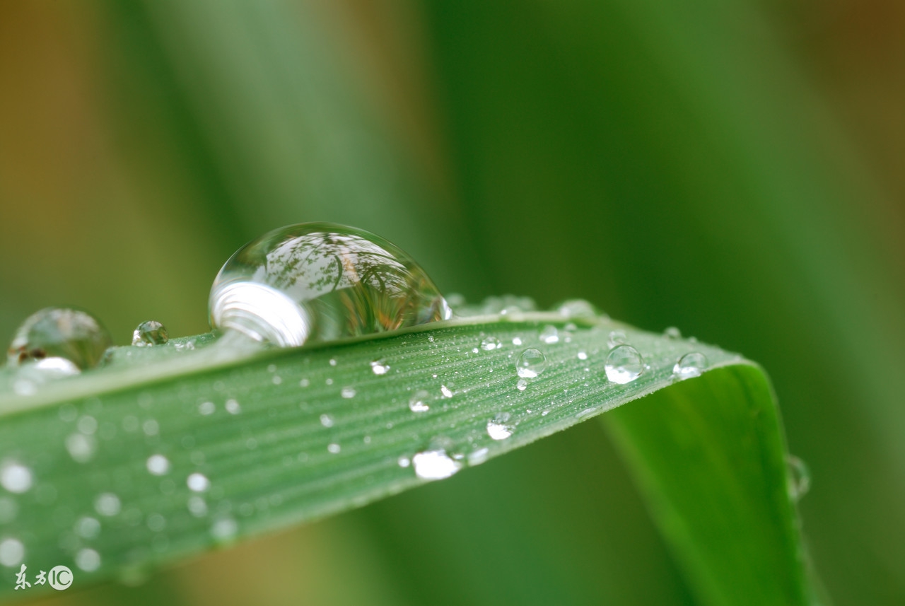 原创魔幻小说「蛊元」第一章午