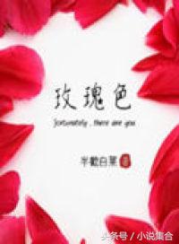 晋江高分言情小说推荐,推荐欢喜冤家甜宠文