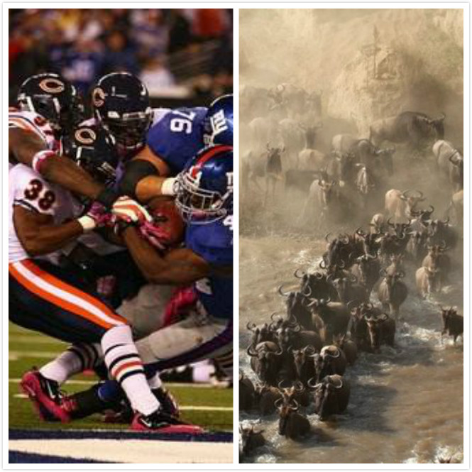 不是谁都敢玩美式橄榄球,老实打篮球