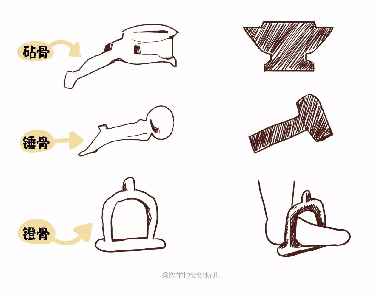 医学漫画科普｜国庆中秋出行坐飞机时，耳朵为什么会难受？