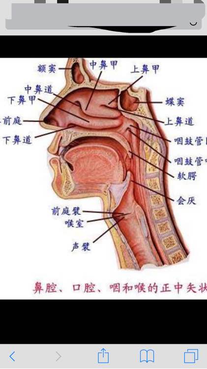 为什么现在唱歌高音上不去,唱歌高音的一些实用建议