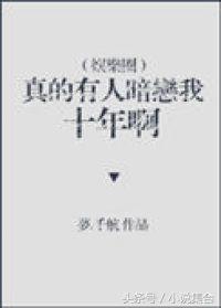 晋江高分言情小说推荐,推荐欢喜冤家甜宠文