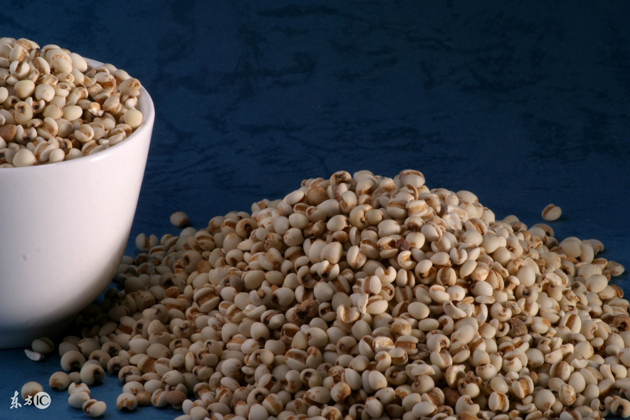 芦根薏米水抗肿瘤,薏米可以抗肿瘤吗