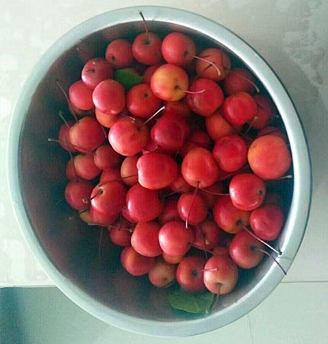 你吃过海红果吗？它有“钙王”之称，能健脾胃、保护心脑血管！