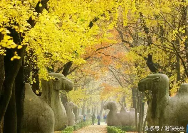 唉，南阳人表示这个国庆真的很蛋疼