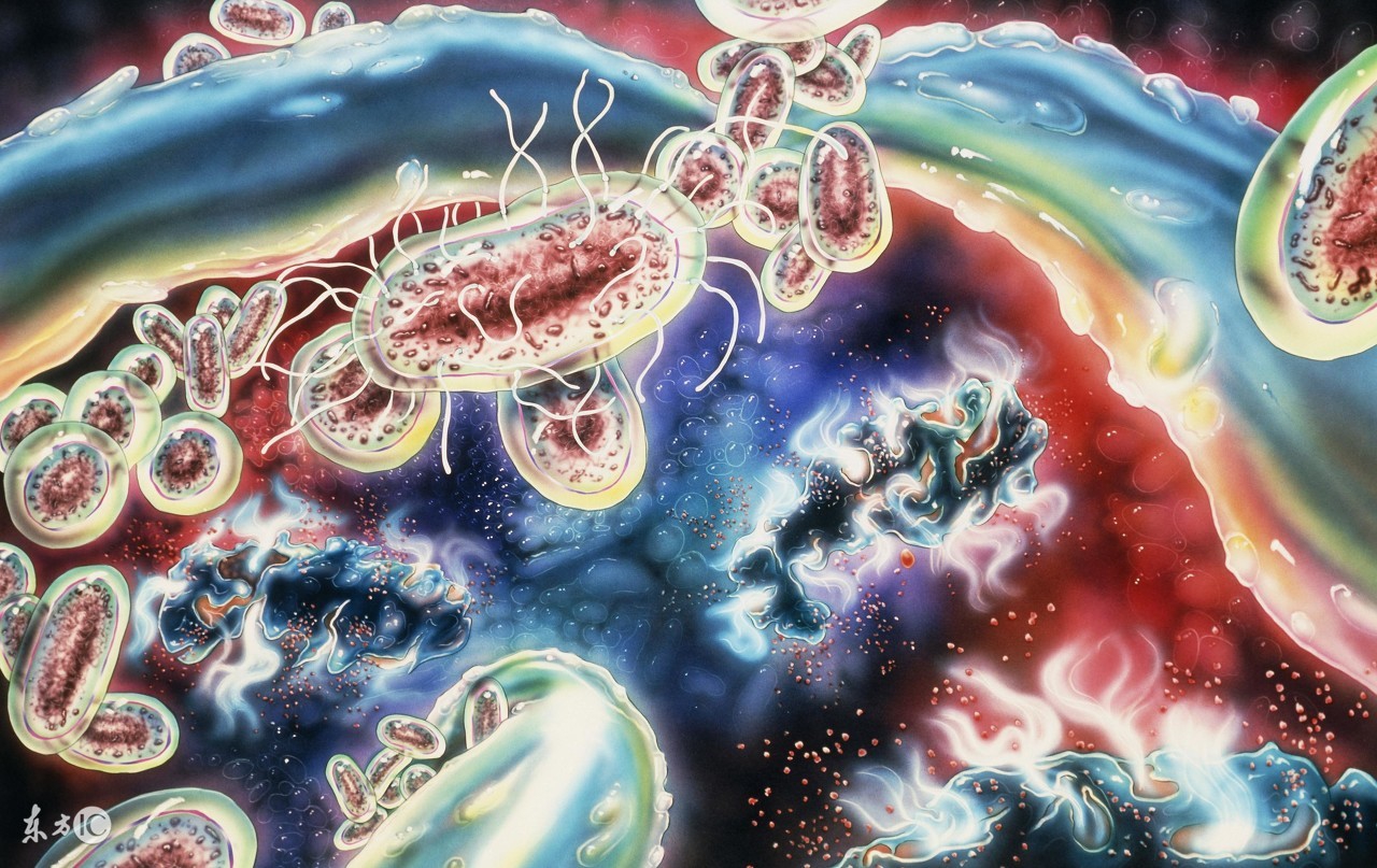 宝宝没长牙嘴巴有异味是什么原因,宝宝的嘴巴有碱性怪味