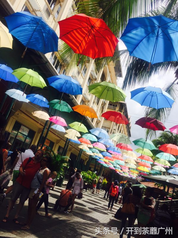 毛里求斯航空怎么样啊,毛里求斯航空旅游介绍视频