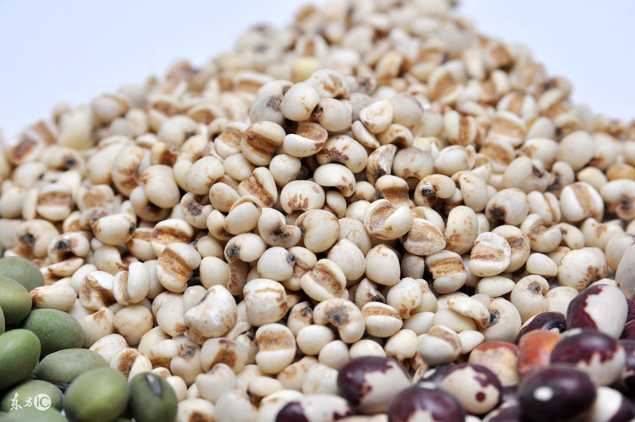 芦根薏米水抗肿瘤,薏米可以抗肿瘤吗