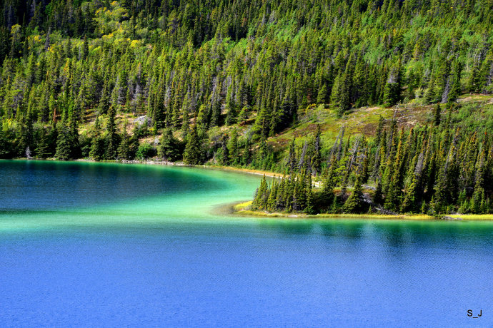加拿大西北部育空,加拿大北部育空地区