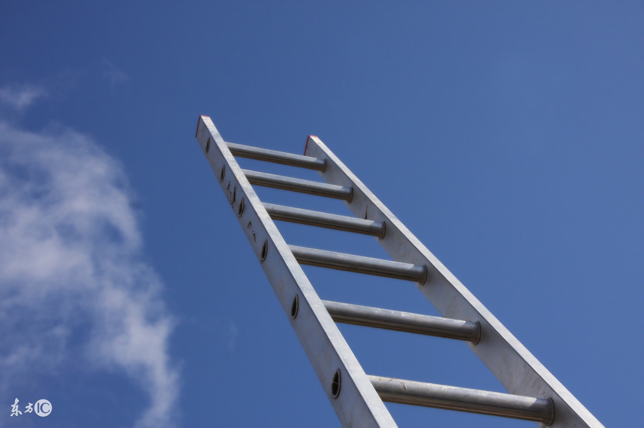 有没有家里蹲大学生,学习it的网站哪个好