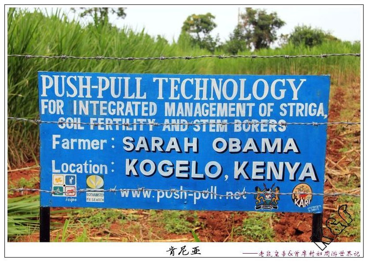 美国前总统奥巴马演讲,剖析奥巴马为什么演讲很厉害