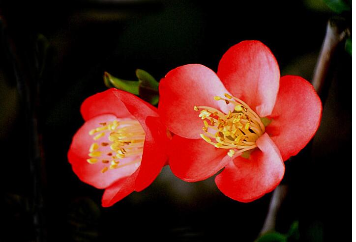 职场高手遇事处理的九种方法,怎么应对职场贪小便宜爱翻脸的人