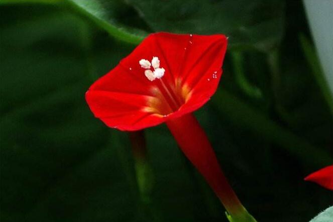 职场高手遇事处理的九种方法,怎么应对职场贪小便宜爱翻脸的人