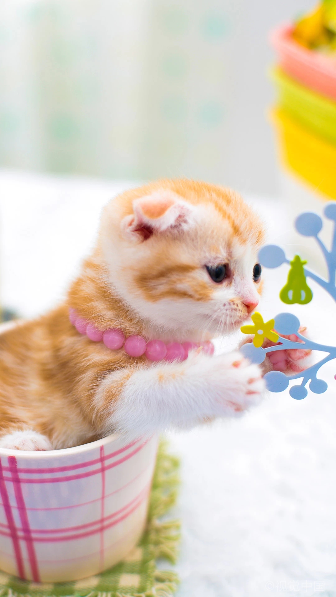 毕淑敏散文经典语录,张爱玲100句经典语录书籍