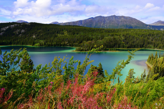 加拿大西北部育空,加拿大北部育空地区