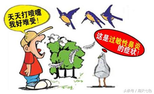 过敏性鼻炎做雷火灸能治好吗,雷火灸治疗鼻炎灸哪里